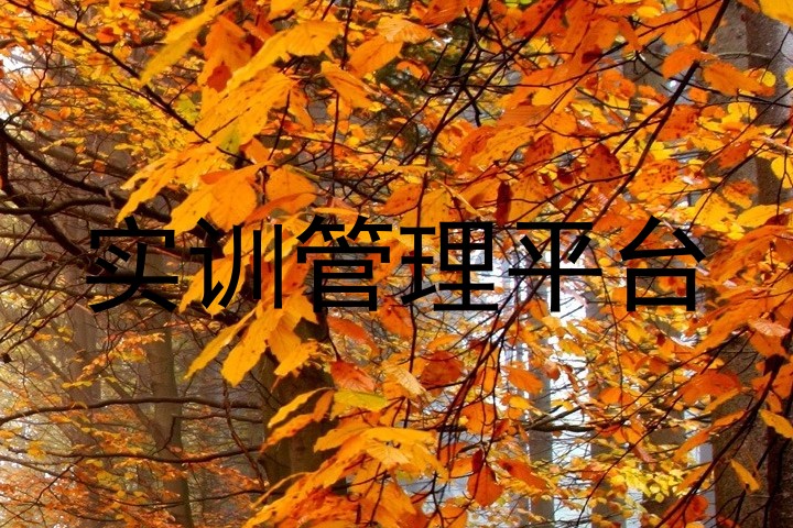 实训管理平台