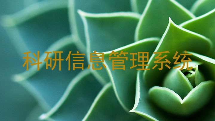 科研信息管理系统
