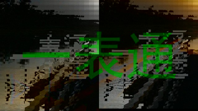 一表通