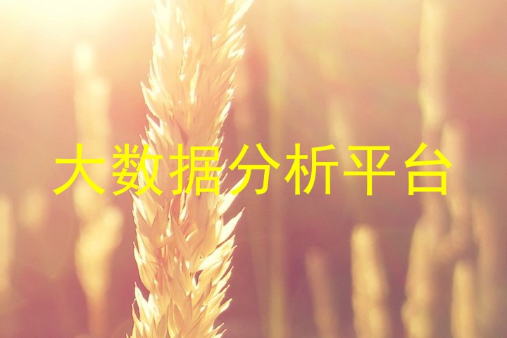 大数据分析平台