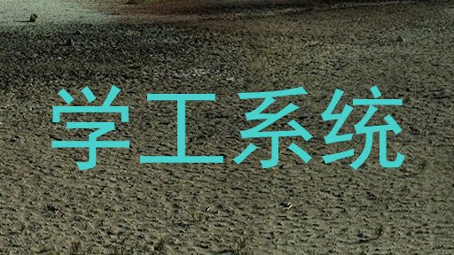学工系统