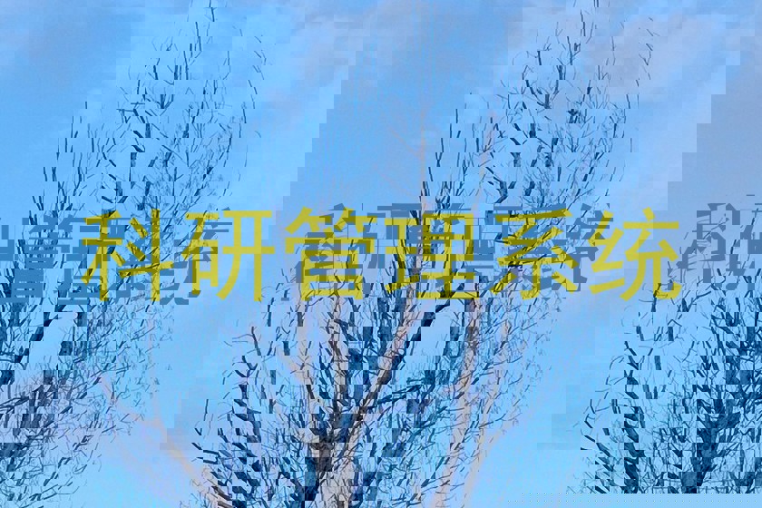 科研管理系统