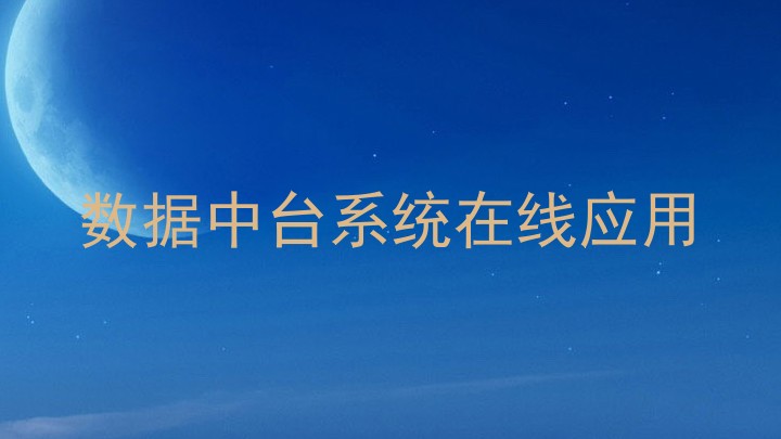 数据中台系统在线应用