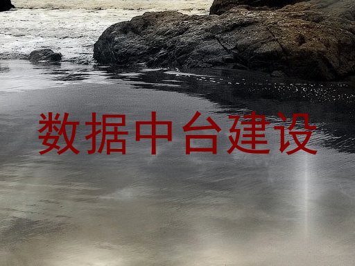 数据中台建设