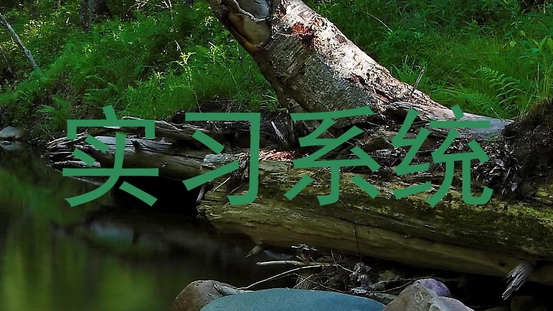 实习系统