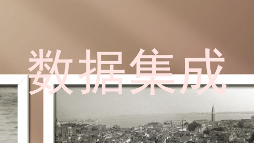 数据集成
