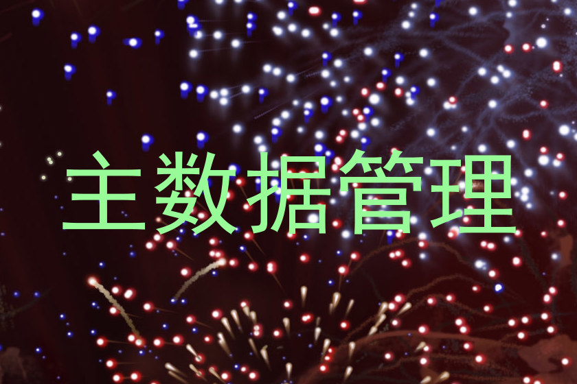主数据管理