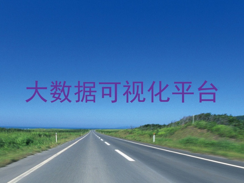 大数据可视化平台