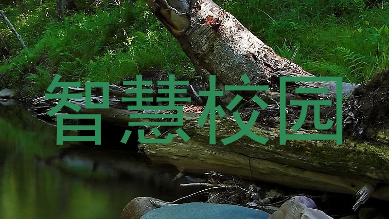智慧校園