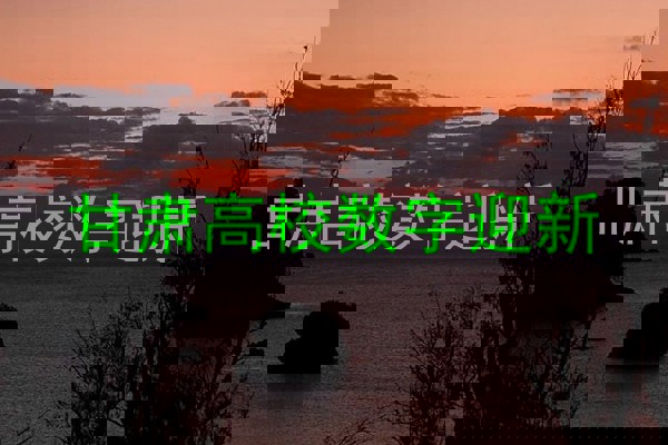 甘肃高校数字迎新