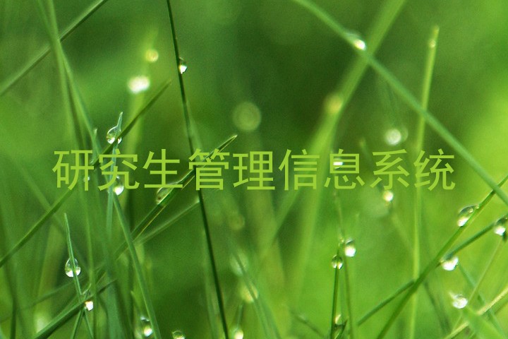 研究生管理信息系统