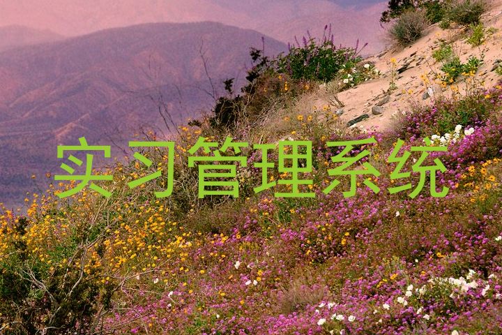 实习管理系统