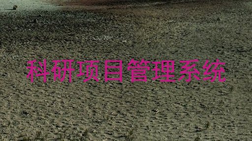 科研项目管理系统