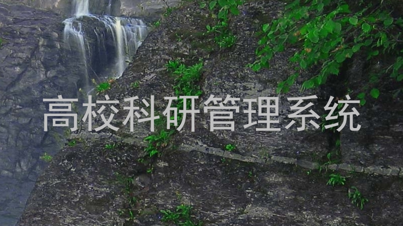 高校科研管理系统