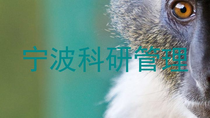 宁波科研管理