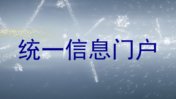 统一信息门户