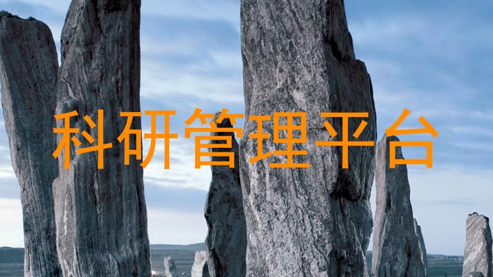 科研管理平台