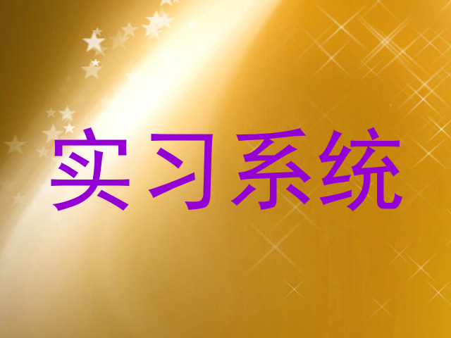 实习系统