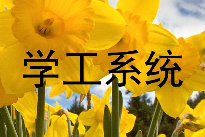 学工系统