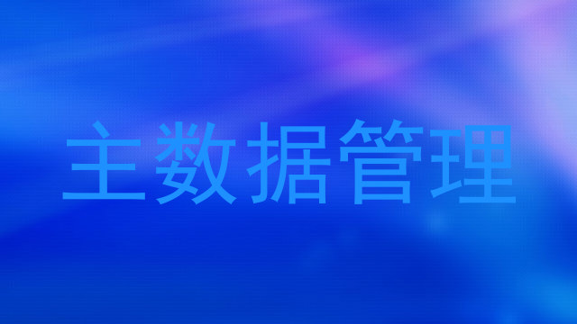 主数据管理