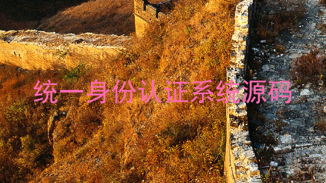 统一身份认证系统源码