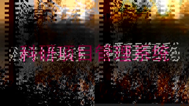 科研项目管理系统