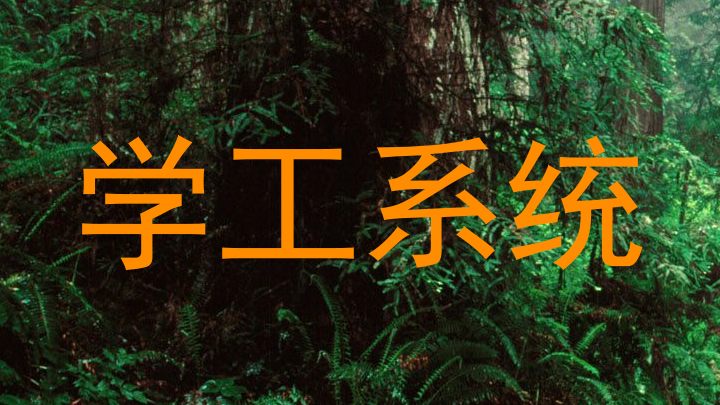 学工系统