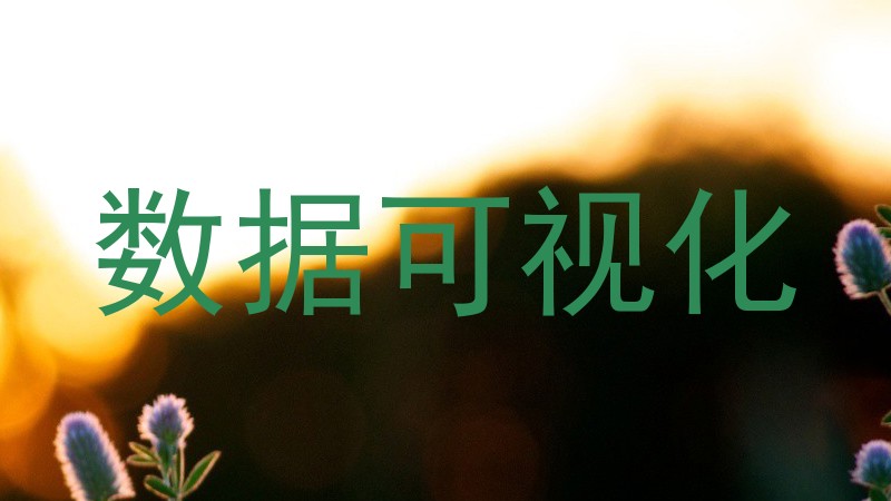 数据可视化