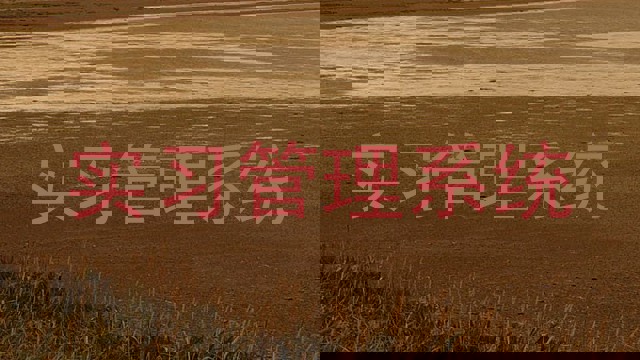 实习管理系统