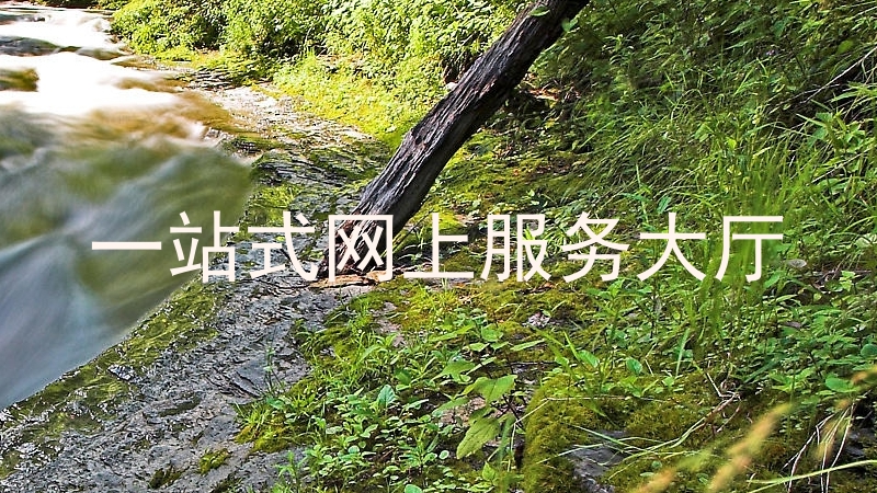 一站式网上服务大厅
