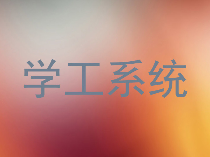 学工系统