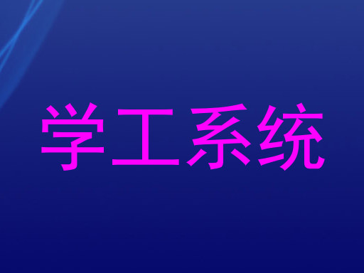 学工系统