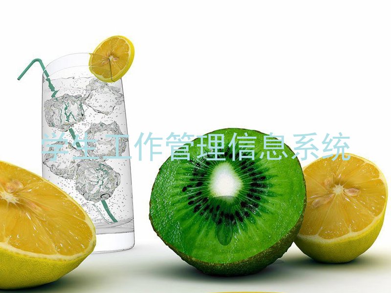 学生工作管理信息系统