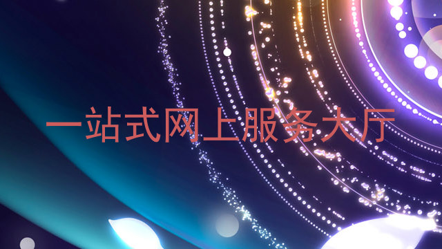 一站式网上服务大厅