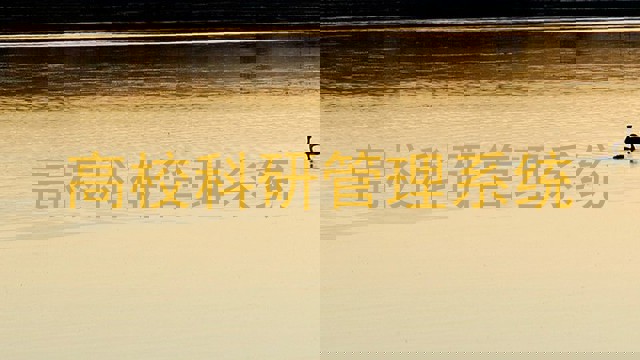 高校科研管理系统