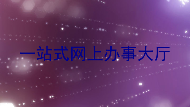 一站式网上办事大厅
