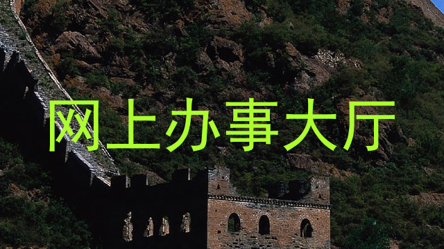 网上办事大厅