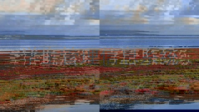 学生管理信息系统