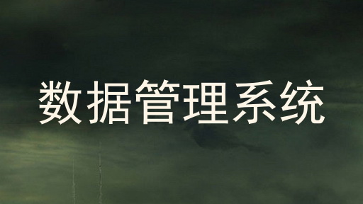 数据管理系统