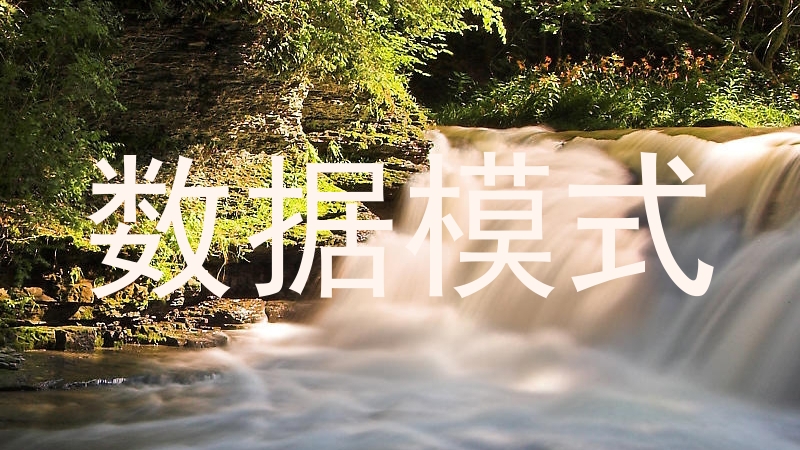 数据模式