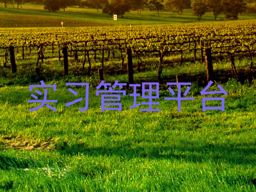 实习管理平台