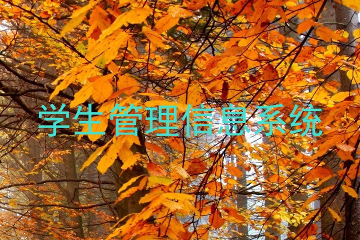 学生管理信息系统