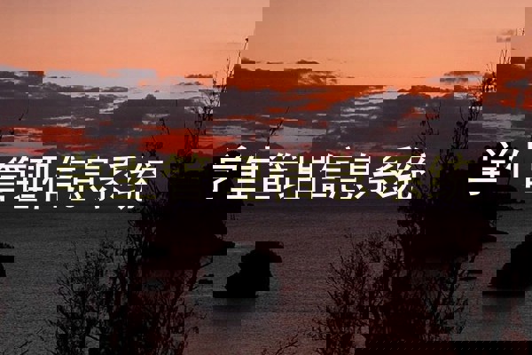 学生管理信息系统