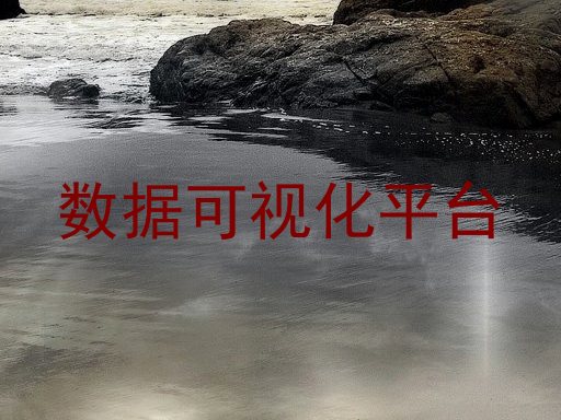 数据可视化平台