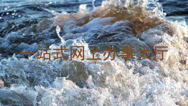 一站式网上办事大厅