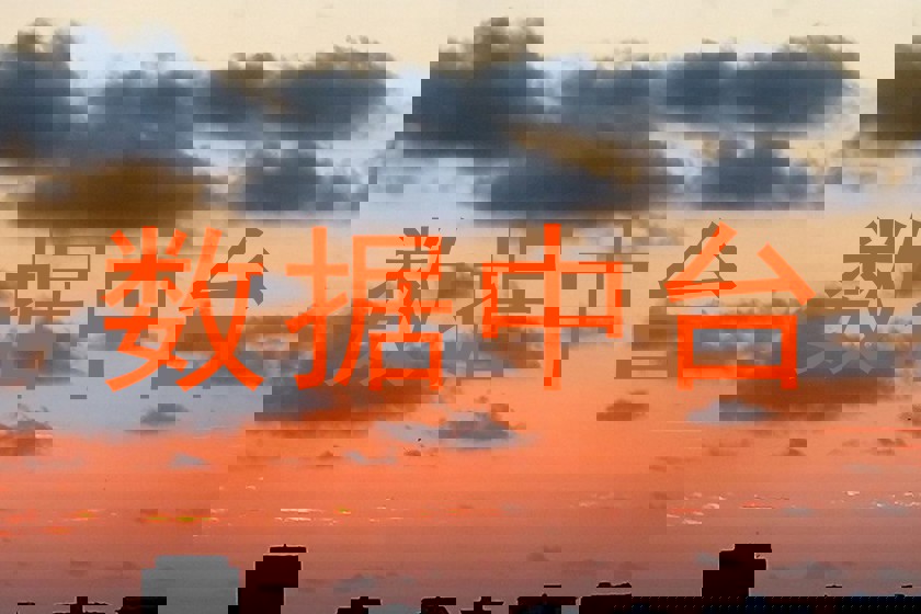 数据中台
