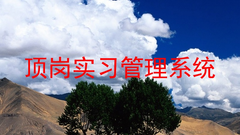 顶岗实习管理系统