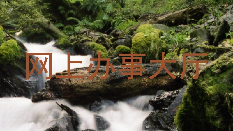 网上办事大厅