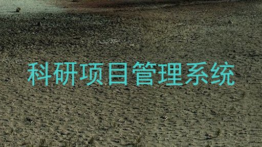 科研项目管理系统