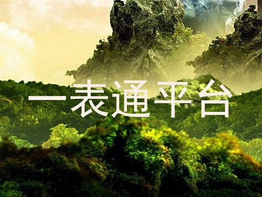 一表通平台